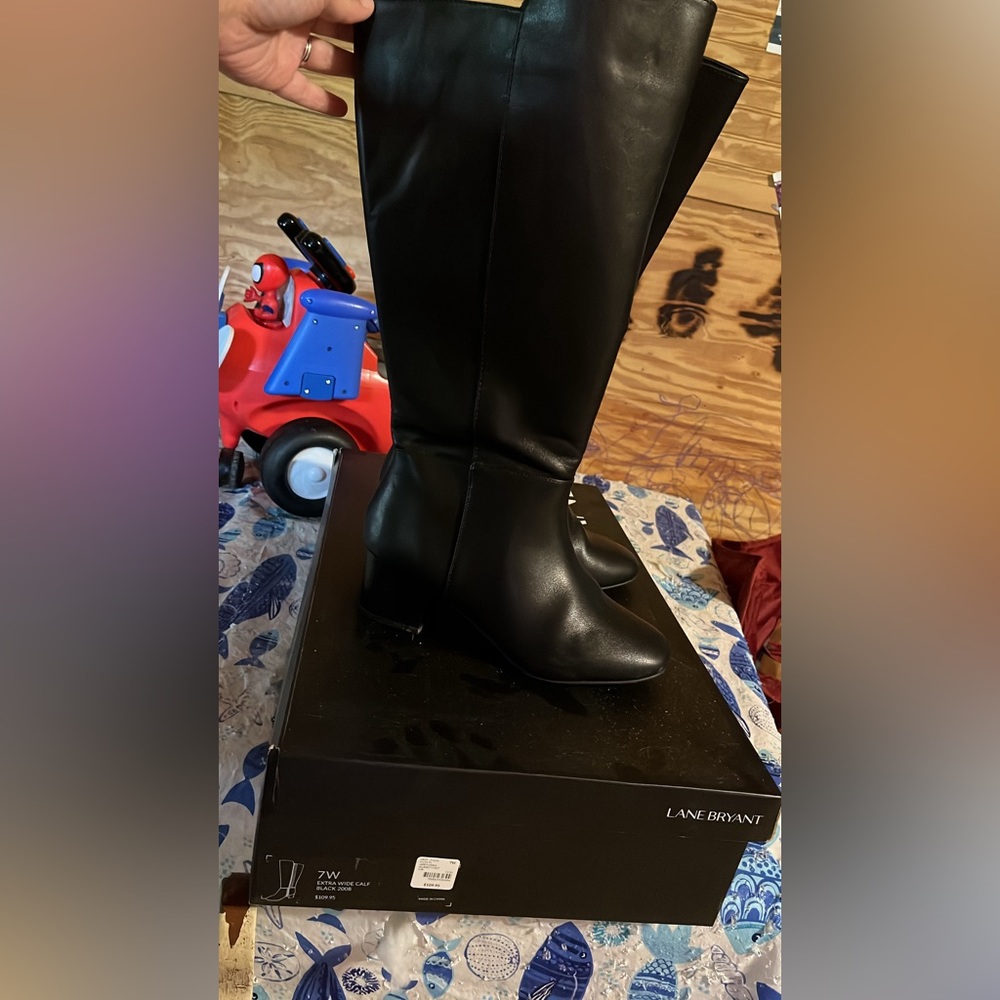 Lane Bryant boots